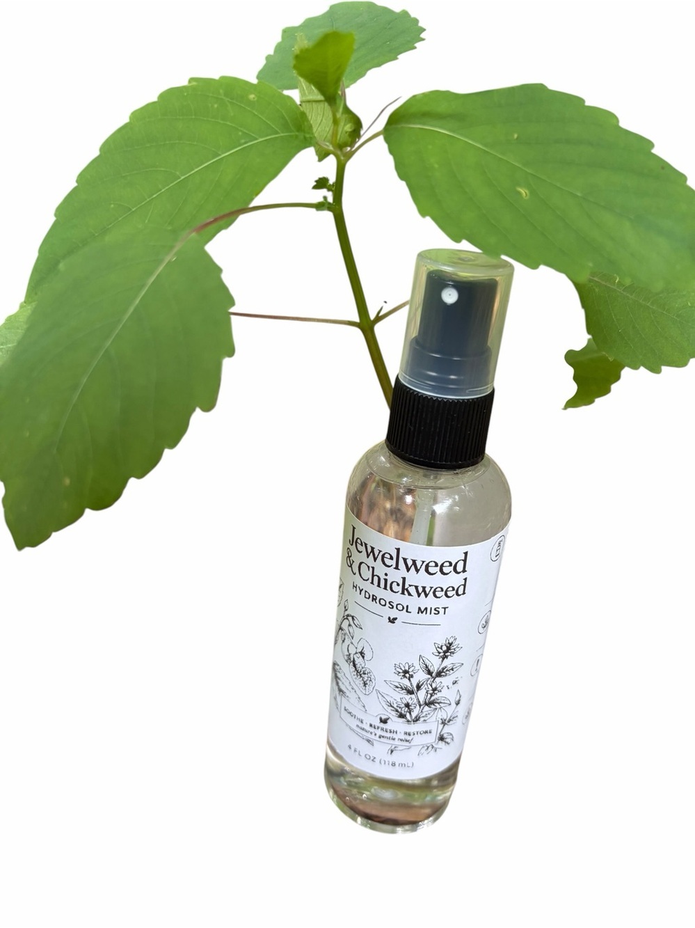 Jewelweed & Chickweed Hydrosol Mist | Botanical Spray | Herbal Distillate